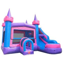 Pink Castle (Wet/Dry)